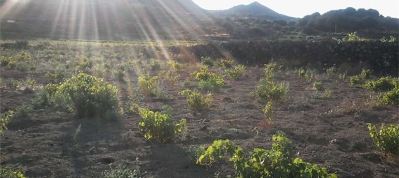 2غرفة منزل في Pantelleria, Italy رقم 49620 5