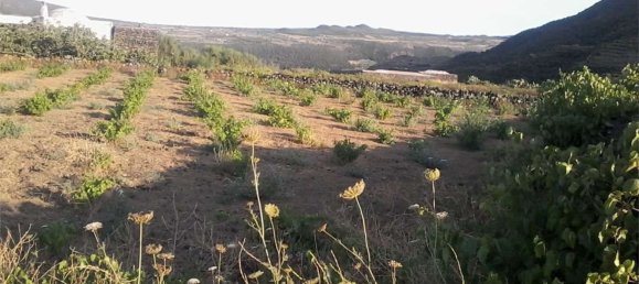 2غرفة منزل في Pantelleria, Italy رقم 49620 3