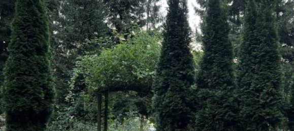 Вилла с 7 комнатами в Аспанг-Маркт, Австрия № 178902 13