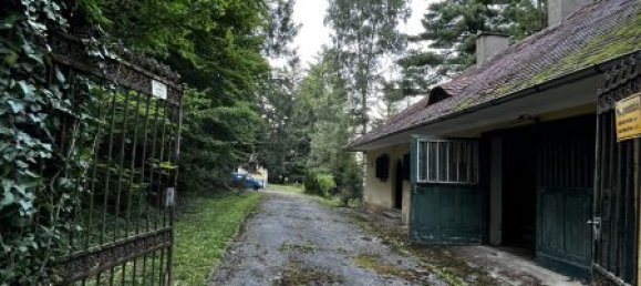 Вилла с 7 комнатами в Аспанг-Маркт, Австрия № 178902 12