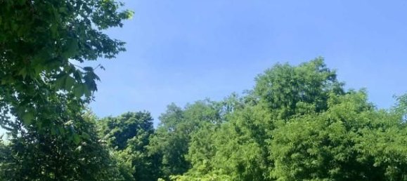 1 Schlafzimmer Wohnung in Montigny-le-Bretonneux, France, Nr. 327985 2