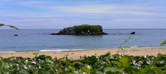 7 Schlafzimmer Haus in Colunga, Spain, Nr. 76367 41