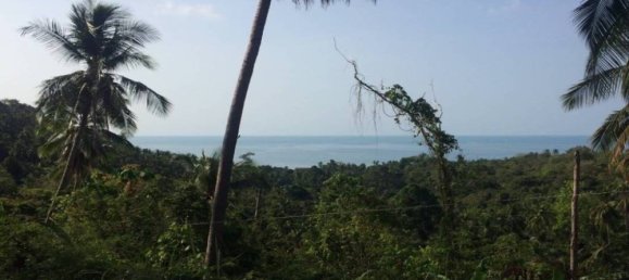 Imóvel comercial em Ko Samui, Thailand N.º 23846 2
