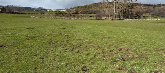 5 bedrooms House in Aguilar de Campoo, Spain No. 71161 7