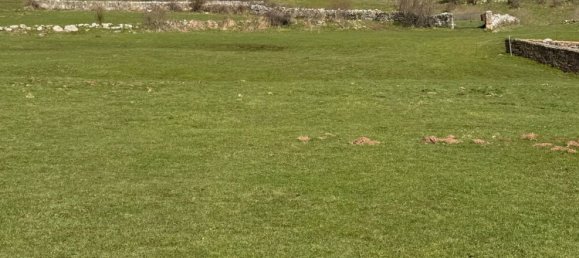 5 bedrooms House in Aguilar de Campoo, Spain No. 71161 6