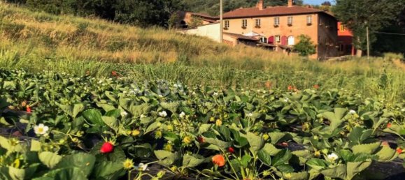 12 bedrooms Villa in San Miniato, Italy No. 488 3