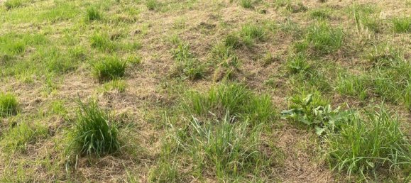 Terreno en Asturias, Spain No. 150638 14