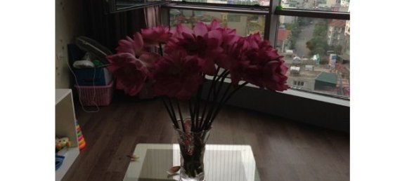 2 bedrooms Apartment in Cau Giay, Vietnam No. 3805 7