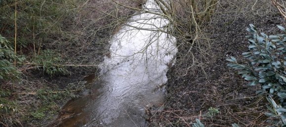 Grundstück in Vorpommern-Rügen, Germany, Nr. 297032 4
