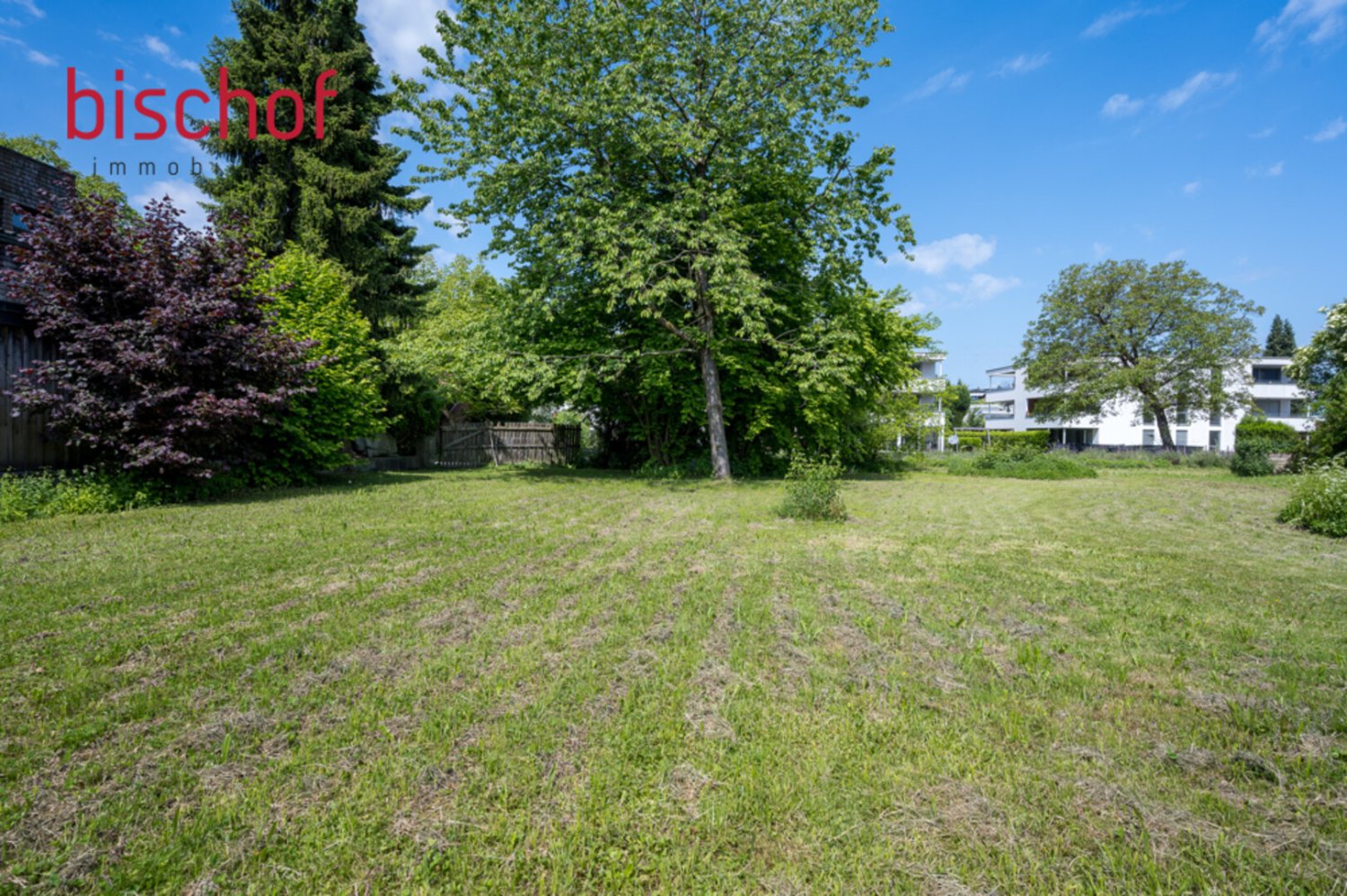  Land in Hard, Austria No. 151059