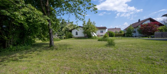 Land in Hard, Austria No. 151059 4