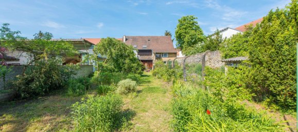 Коммерческая недвижимость с 7 комнатами в Дармштадт, Германия № 68322 16