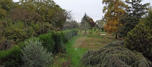 4 bedrooms House in Mareau-aux-Pres, France No. 157921 23