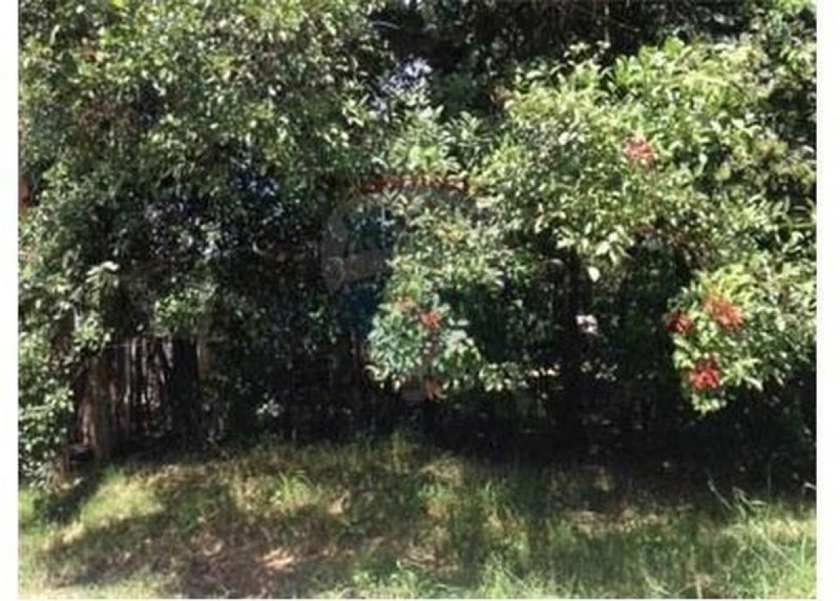 Grundstück in Pilar, Argentina, Nr. 36144