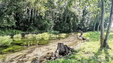 Terrain à Ebenfurth, Austria No. 251655