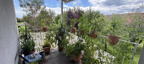 Дом с 10 комнатами в Рор бай Хартберг, Австрия № 133067 21