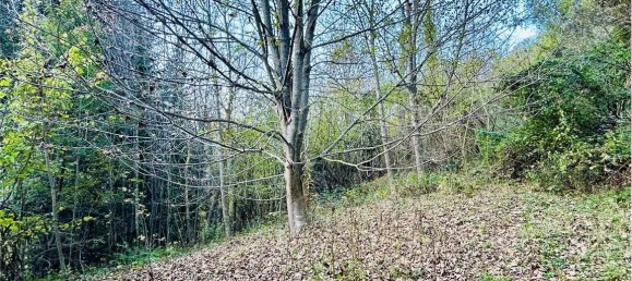 2 rooms House in Garessio, Italy No. 88521 5