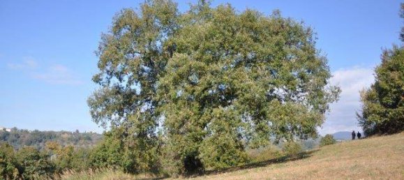 4 Schlafzimmer Haus in Tarano, Italy, Nr. 171532 17