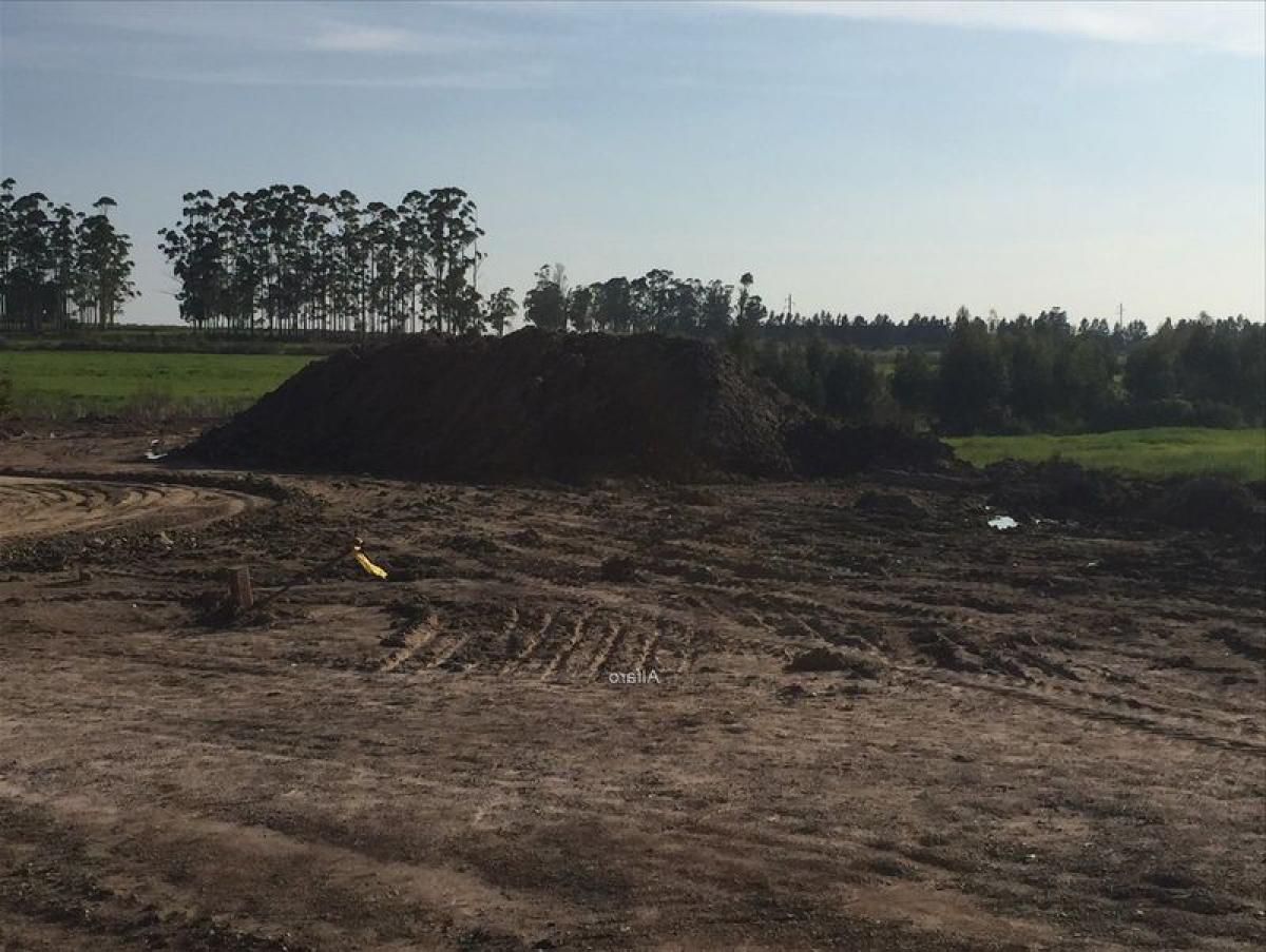 Terrain à Canelones, Uruguay No. 14873