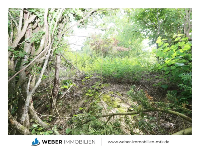  Land in Hochtaunuskreis, Germany No. 314749