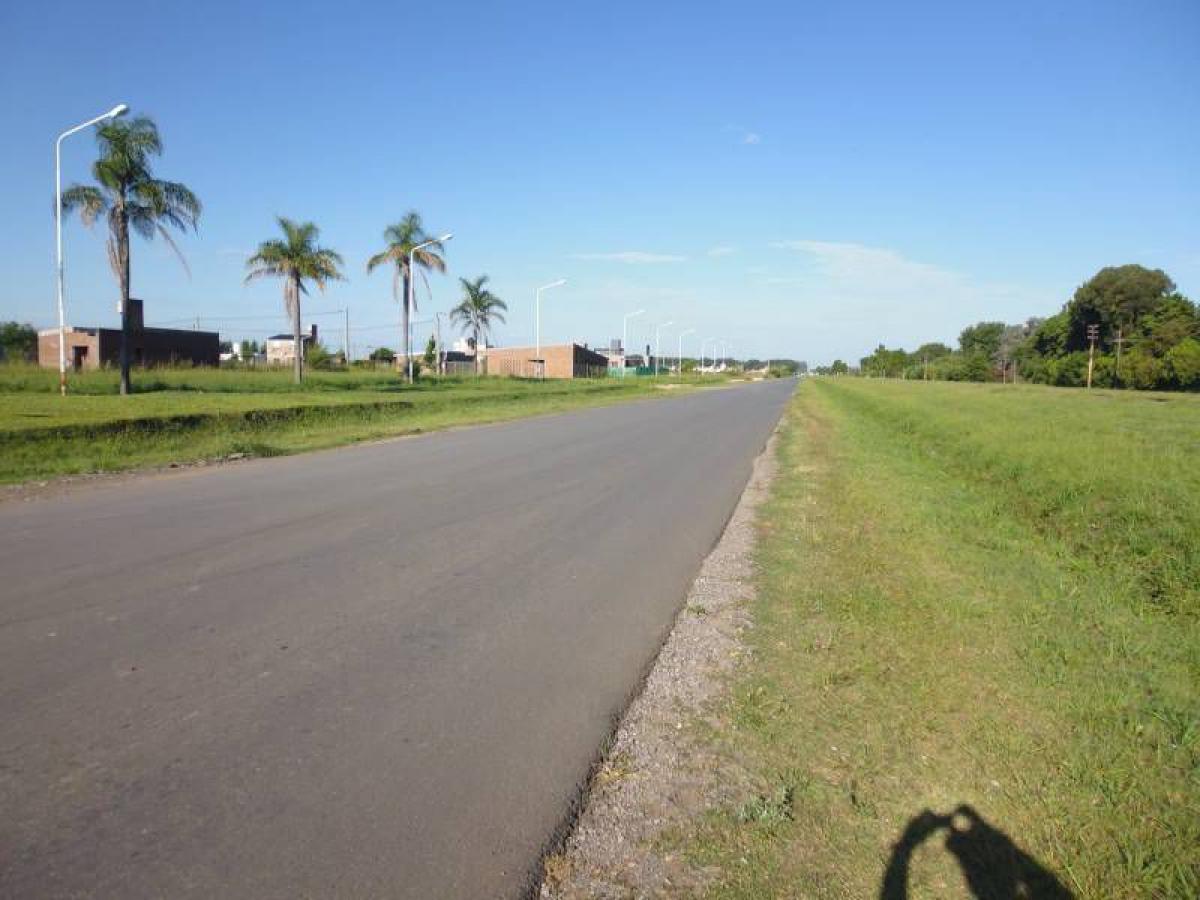  Land in Santa Fe, Argentina No. 42383