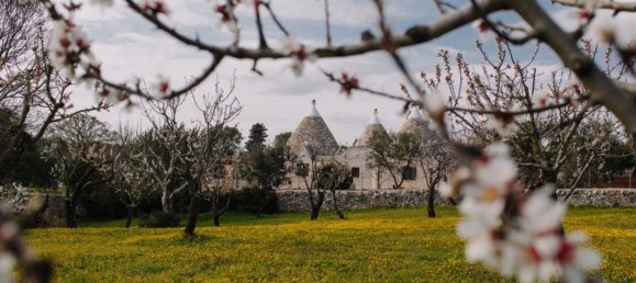8 rooms Villa in Ostuni, Italy No. 168862 18