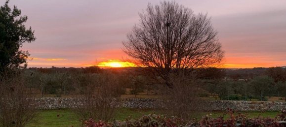 8 rooms Villa in Ostuni, Italy No. 168862 47