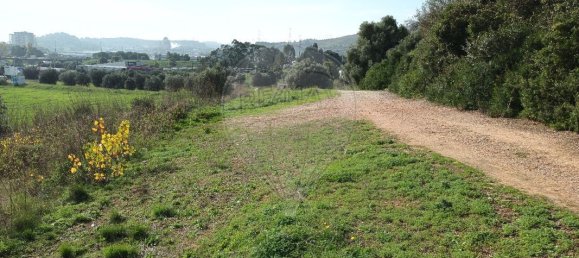 3 bedrooms House in Vila Franca de Xira, Portugal No. 49801 4