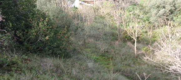 3 bedrooms House in Vila Franca de Xira, Portugal No. 49801 11