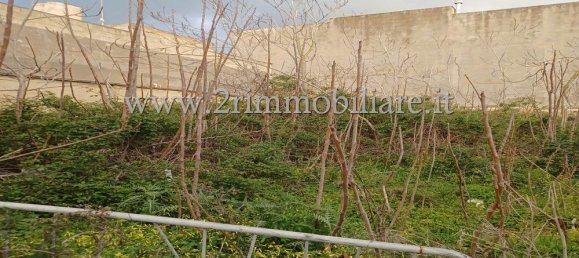 1 room Land in Mazara del Vallo, Italy No. 103166 4