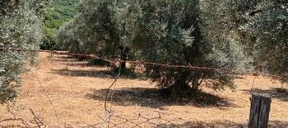 2000m² Land in Palombara Sabina, Italy No. 296951 3