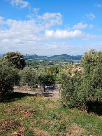 2000m² Land in Palombara Sabina, Italy No. 296951