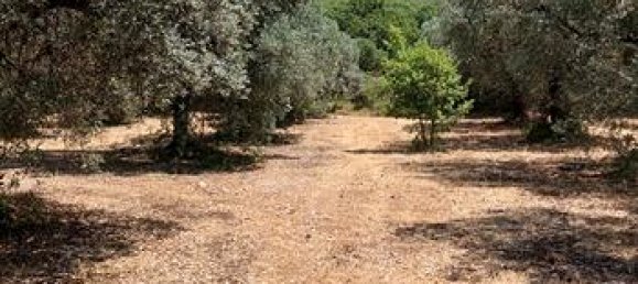 2000m² Land in Palombara Sabina, Italy No. 296951 4