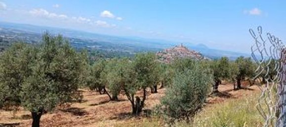 2000m² Land in Palombara Sabina, Italy No. 296951 2