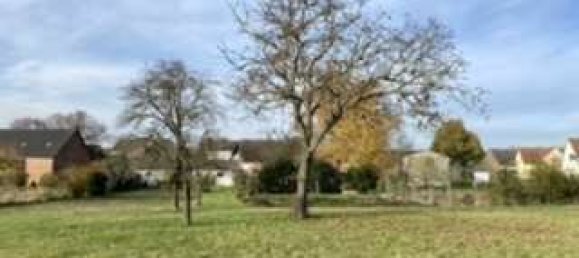 5 Schlafzimmer Bauernhof in Potsdam-Mittelmark, Germany, Nr. 66852 37