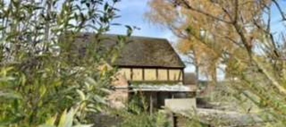 5 Schlafzimmer Bauernhof in Potsdam-Mittelmark, Germany, Nr. 66852 40