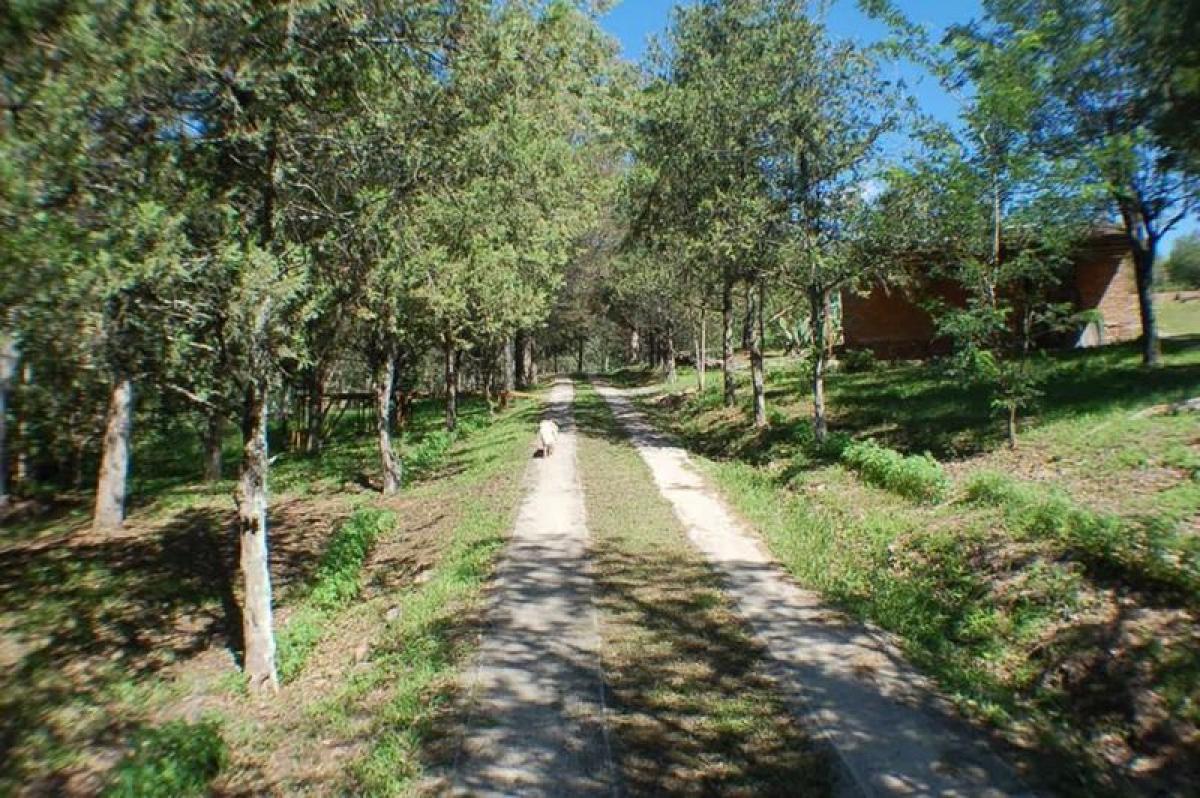 Casa de 6 dormitorios en Córdoba, Argentina No. 63744