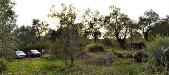 Gewerbliche Immobilie in Corfu, Greece 420m², Nr. 4412 9