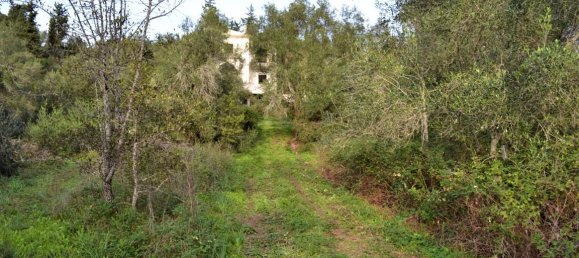 Gewerbliche Immobilie in Corfu, Greece 420m², Nr. 4412 8