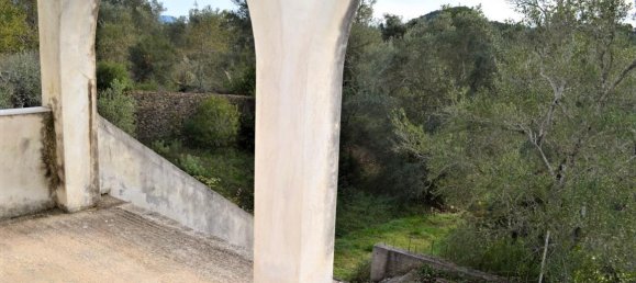 Gewerbliche Immobilie in Corfu, Greece 420m², Nr. 4412 5