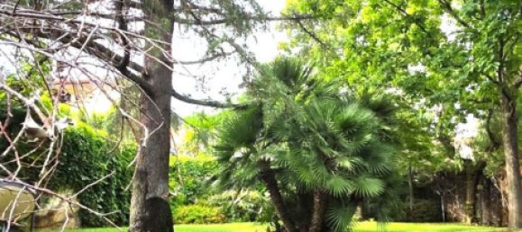 6 bedrooms Villa in Nicolosi, Italy No. 311058 18