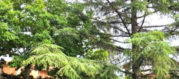 6 bedrooms Villa in Nicolosi, Italy No. 311058 7