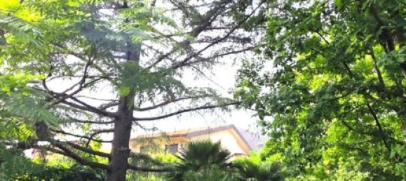 6 bedrooms Villa in Nicolosi, Italy No. 311058 17