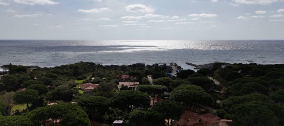 3 Schlafzimmer Villa in Pula, Italy, Nr. 122326 2