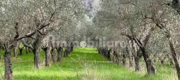 Земельный участок 236650м² в Чивителла дель Тронто, Италия № 251003 4