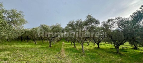 Земельный участок 236650м² в Чивителла дель Тронто, Италия № 251003 5