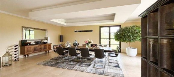 Villa de 15 habitaciónes en Alberndorf in der Riedmark, Austria No. 172379 12