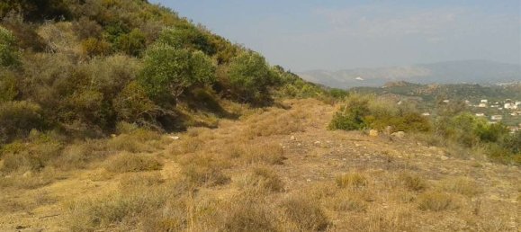  قطعة أرض في Zakynthos, Greece رقم 514 12