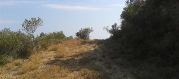  قطعة أرض في Zakynthos, Greece رقم 514 10