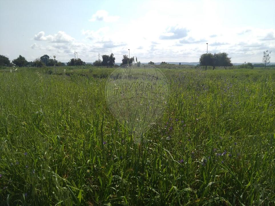 266m² Land in Entroncamento, Portugal No. 199250